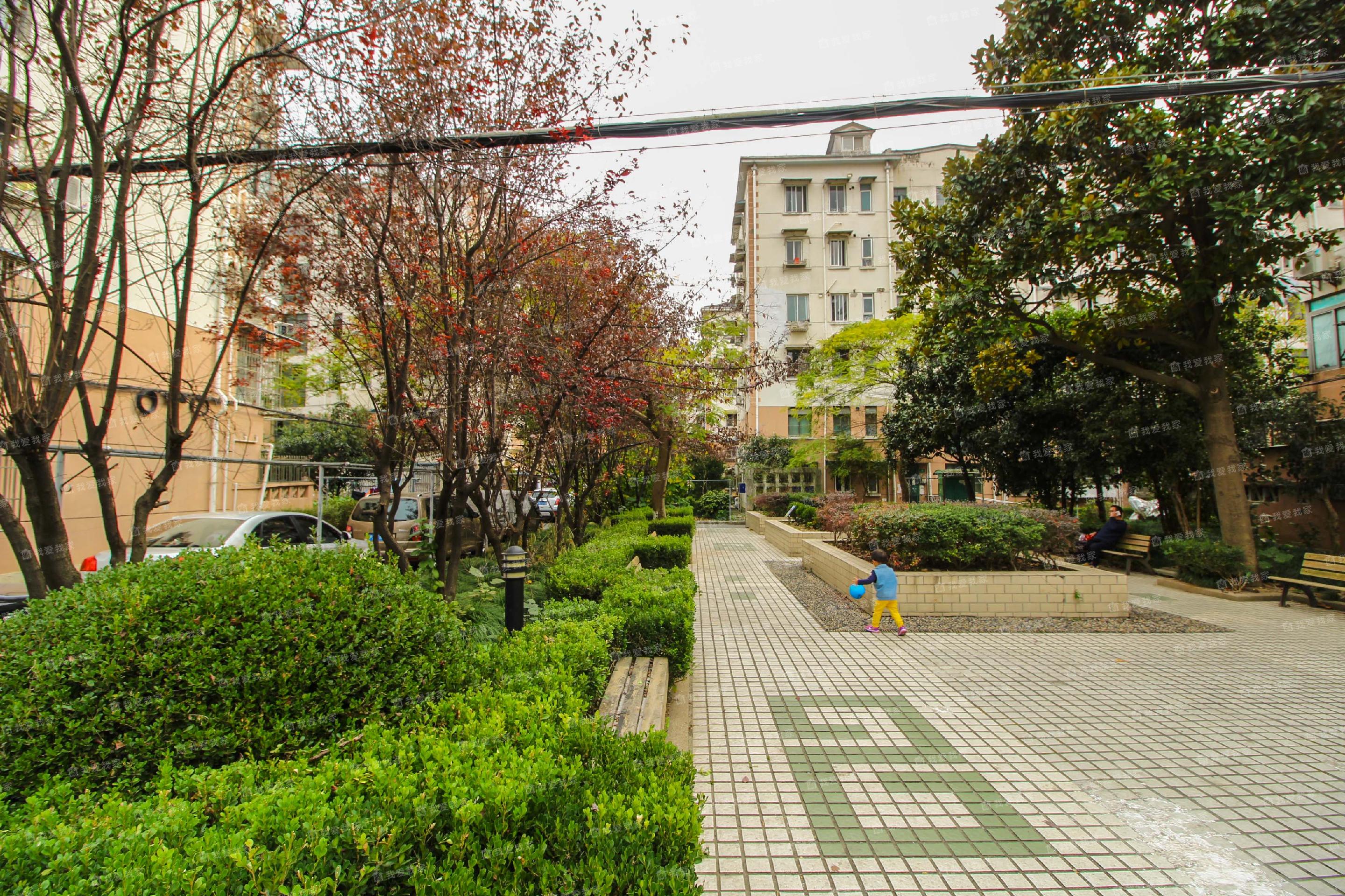 八村(八村塁怎么念)
